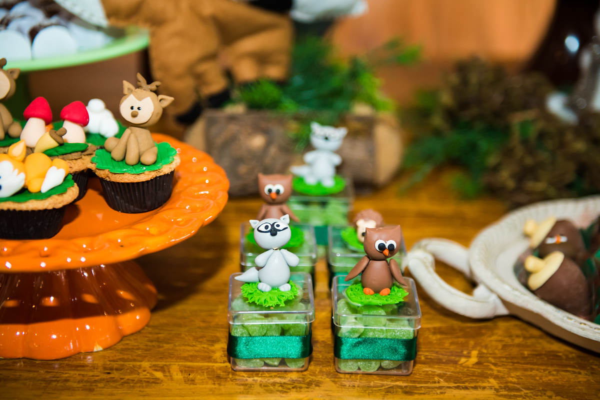 Fotografa de Aniversario em ouro preto, Fotografa Infantil Ouro Preto, Gleiser Boroni Filho, Gleiser Boroni, Gleisinho 1 ano, Buffet Sabor e Arte