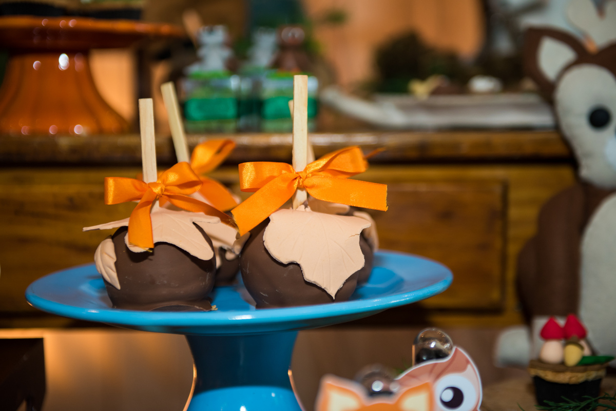 Fotografa de Aniversario em ouro preto, Fotografa Infantil Ouro Preto, Gleiser Boroni Filho, Gleiser Boroni, Gleisinho 1 ano, Buffet Sabor e Arte