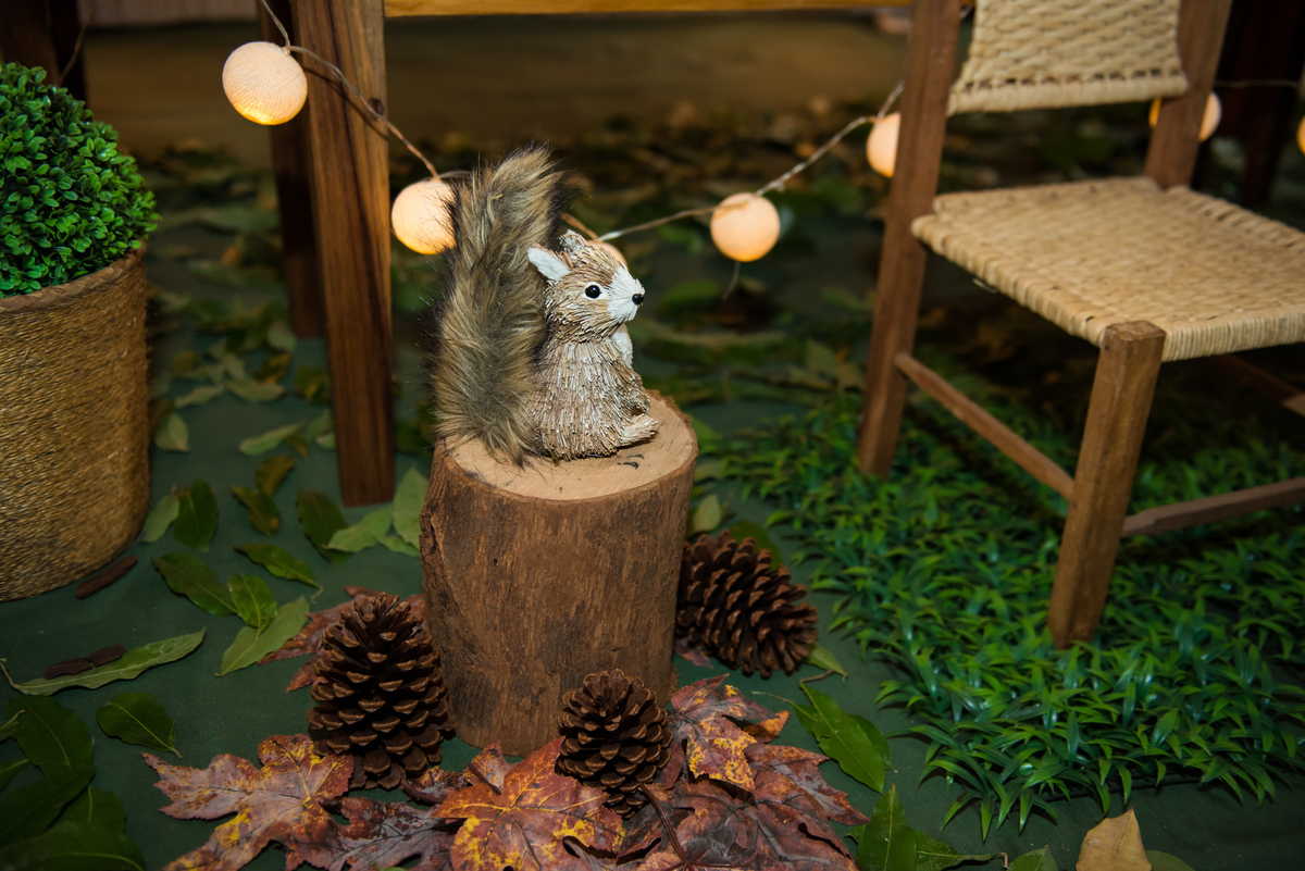 Fotografa de Aniversario em ouro preto, Fotografa Infantil Ouro Preto, Gleiser Boroni Filho, Gleiser Boroni, Gleisinho 1 ano, Buffet Sabor e Arte