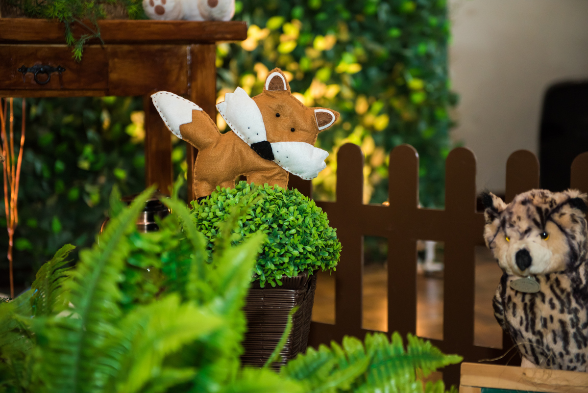 Fotografa de Aniversario em ouro preto, Fotografa Infantil Ouro Preto, Gleiser Boroni Filho, Gleiser Boroni, Gleisinho 1 ano, Buffet Sabor e Arte