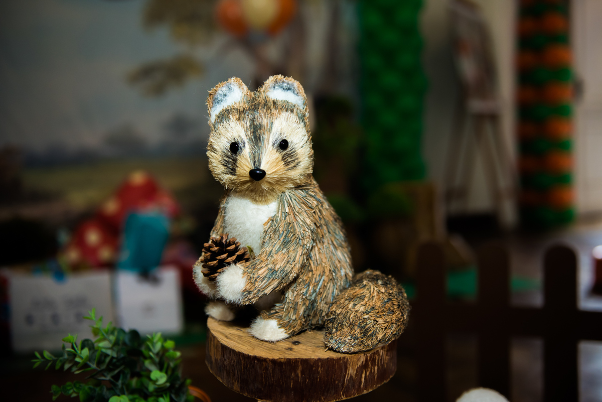 Fotografa de Aniversario em ouro preto, Fotografa Infantil Ouro Preto, Gleiser Boroni Filho, Gleiser Boroni, Gleisinho 1 ano, Buffet Sabor e Arte