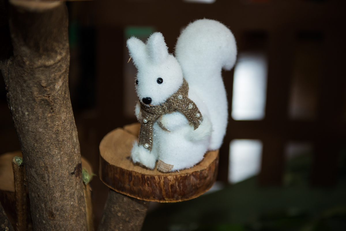 Fotografa de Aniversario em ouro preto, Fotografa Infantil Ouro Preto, Gleiser Boroni Filho, Gleiser Boroni, Gleisinho 1 ano, Buffet Sabor e Arte