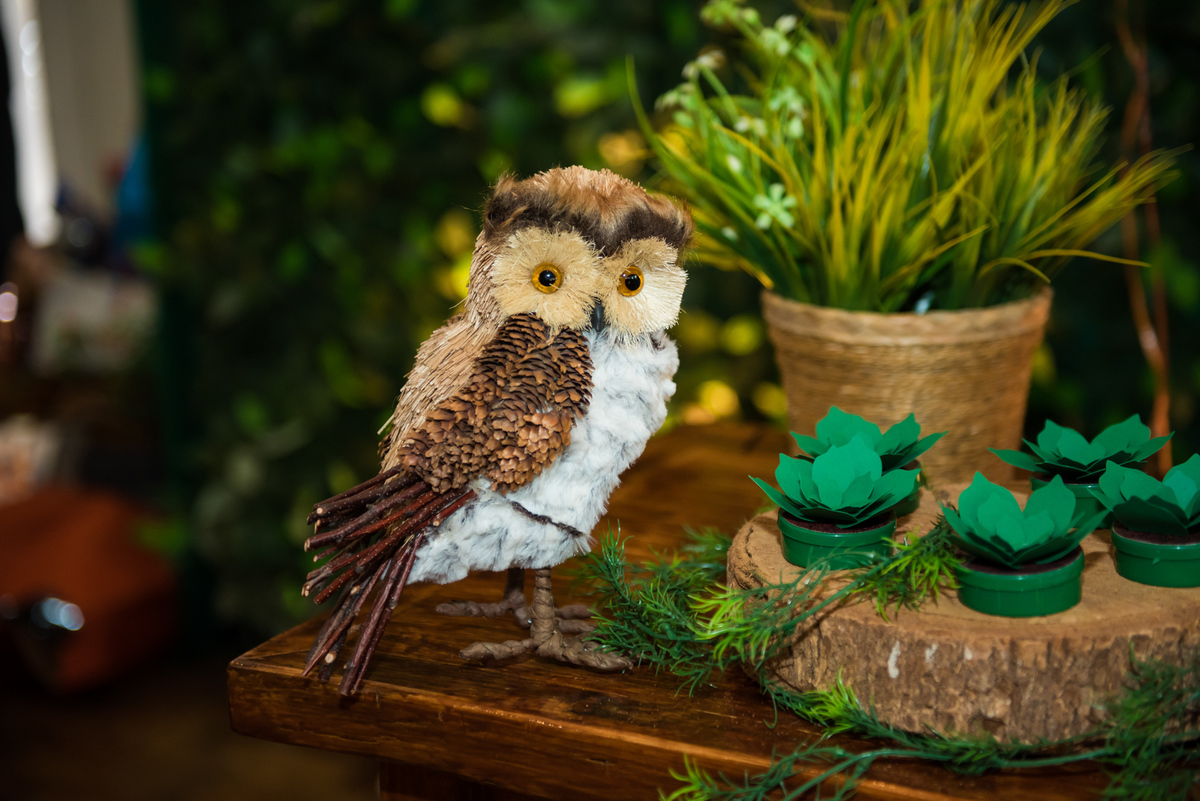 Fotografa de Aniversario em ouro preto, Fotografa Infantil Ouro Preto, Gleiser Boroni Filho, Gleiser Boroni, Gleisinho 1 ano, Buffet Sabor e Arte