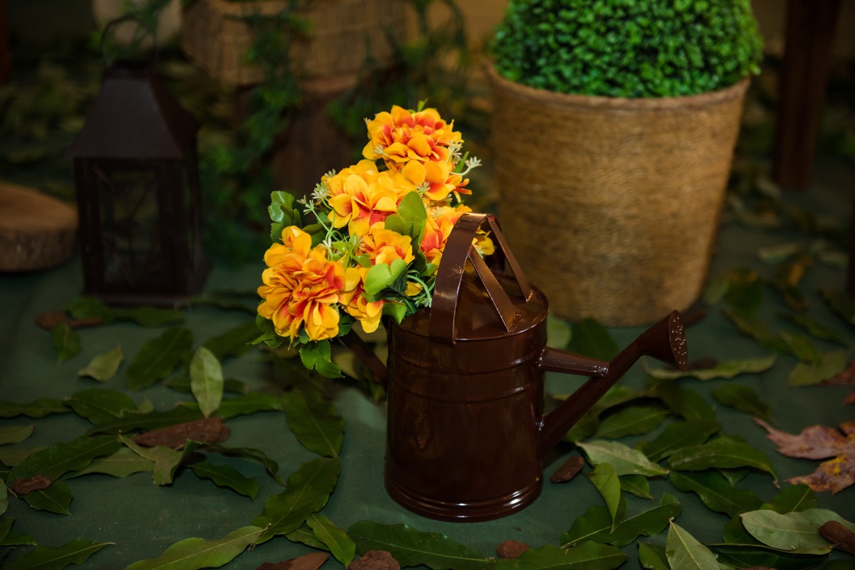 Fotografa de Aniversario em ouro preto, Fotografa Infantil Ouro Preto, Gleiser Boroni Filho, Gleiser Boroni, Gleisinho 1 ano, Buffet Sabor e Arte