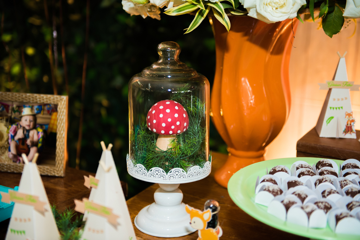 Fotografa de Aniversario em ouro preto, Fotografa Infantil Ouro Preto, Gleiser Boroni Filho, Gleiser Boroni, Gleisinho 1 ano, Buffet Sabor e Arte