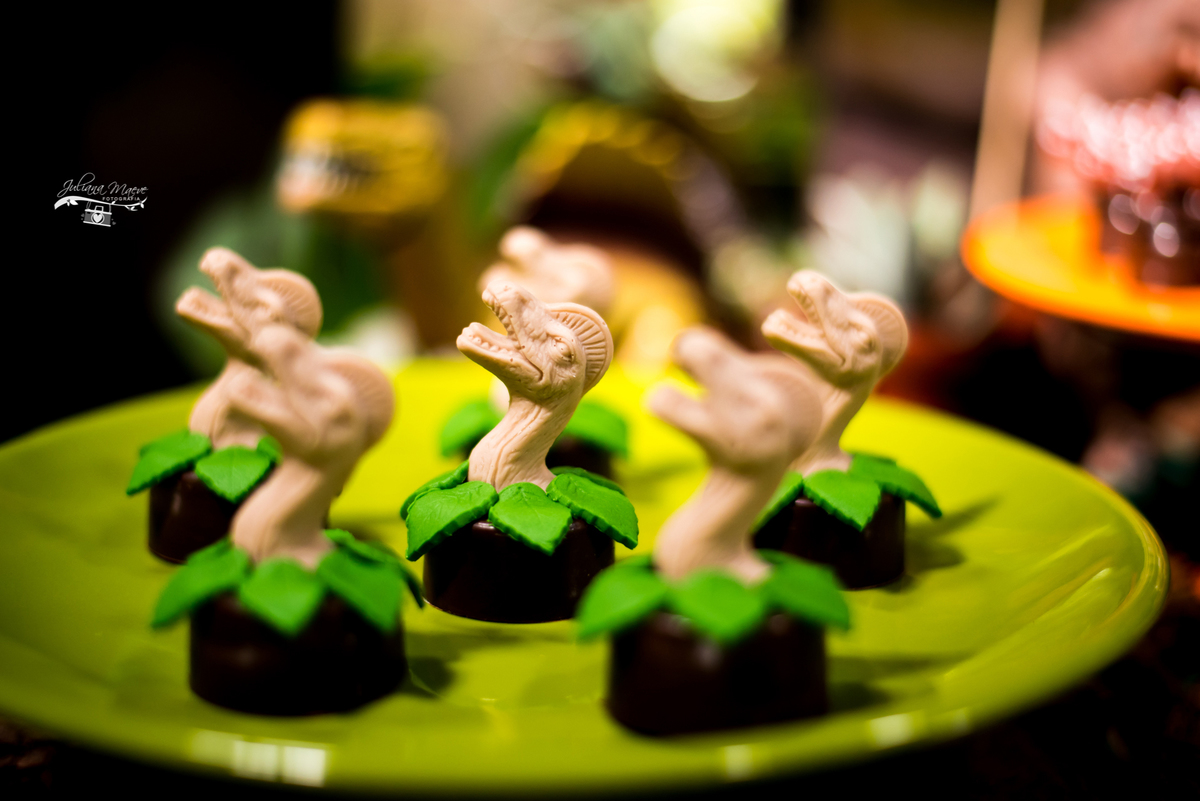 Aniversario ouro preto, Juliana Maeve, Juliana maeve Fotografia, Aniversario Infantil Ouro Preto, Fotografa de Aniversario em ouro preto, Fotografa Infantil Ouro Preto,Aniversario Santo Antonio do Leite, Aniversario Jurassic Park, Aniversario Dinossauros