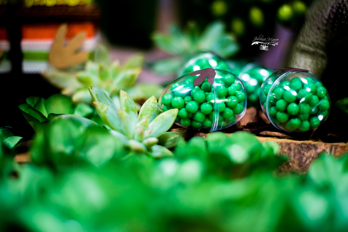 Aniversario ouro preto, Juliana Maeve, Juliana maeve Fotografia, Aniversario Infantil Ouro Preto, Fotografa de Aniversario em ouro preto, Fotografa Infantil Ouro Preto,Aniversario Santo Antonio do Leite, Aniversario Jurassic Park, Aniversario Dinossauros