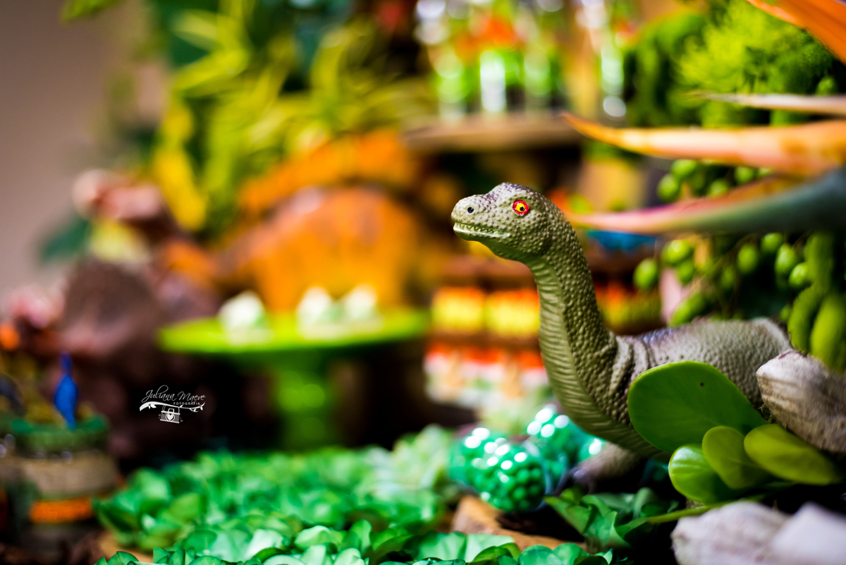 Aniversario ouro preto, Juliana Maeve, Juliana maeve Fotografia, Aniversario Infantil Ouro Preto, Fotografa de Aniversario em ouro preto, Fotografa Infantil Ouro Preto,Aniversario Santo Antonio do Leite, Aniversario Jurassic Park, Aniversario Dinossauros