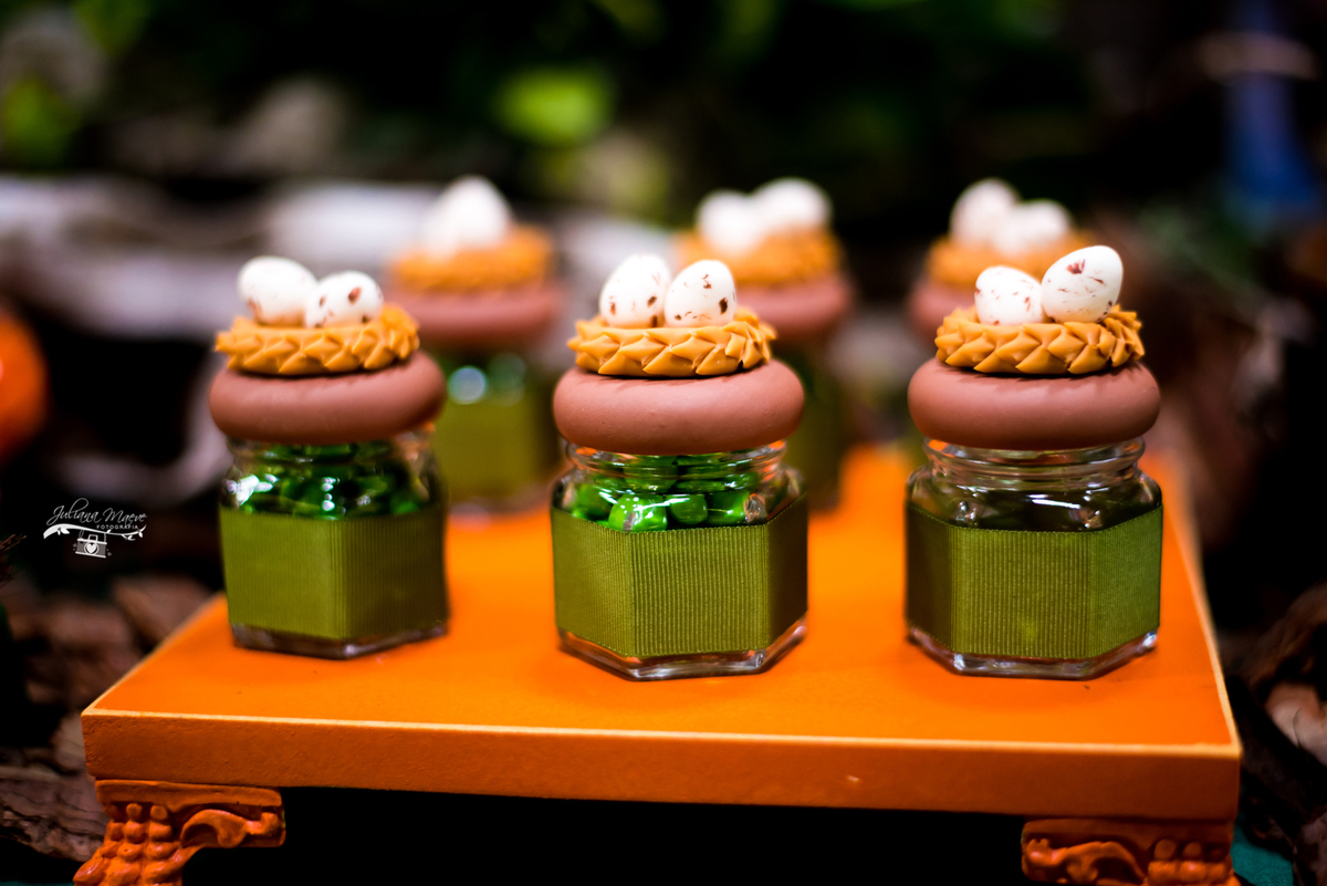 Aniversario ouro preto, Juliana Maeve, Juliana maeve Fotografia, Aniversario Infantil Ouro Preto, Fotografa de Aniversario em ouro preto, Fotografa Infantil Ouro Preto,Aniversario Santo Antonio do Leite, Aniversario Jurassic Park, Aniversario Dinossauros