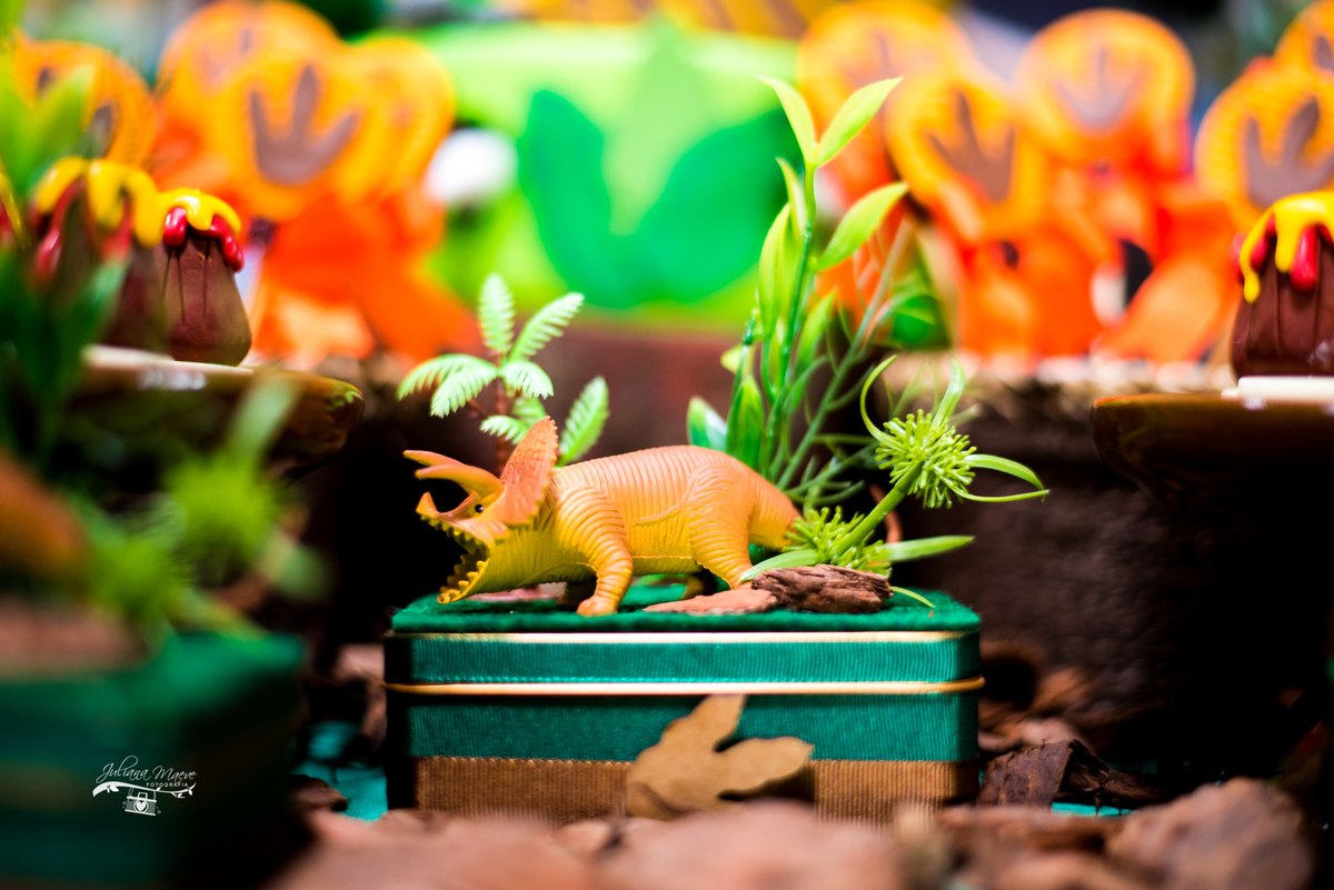 Aniversario ouro preto, Juliana Maeve, Juliana maeve Fotografia, Aniversario Infantil Ouro Preto, Fotografa de Aniversario em ouro preto, Fotografa Infantil Ouro Preto,Aniversario Santo Antonio do Leite, Aniversario Jurassic Park, Aniversario Dinossauros