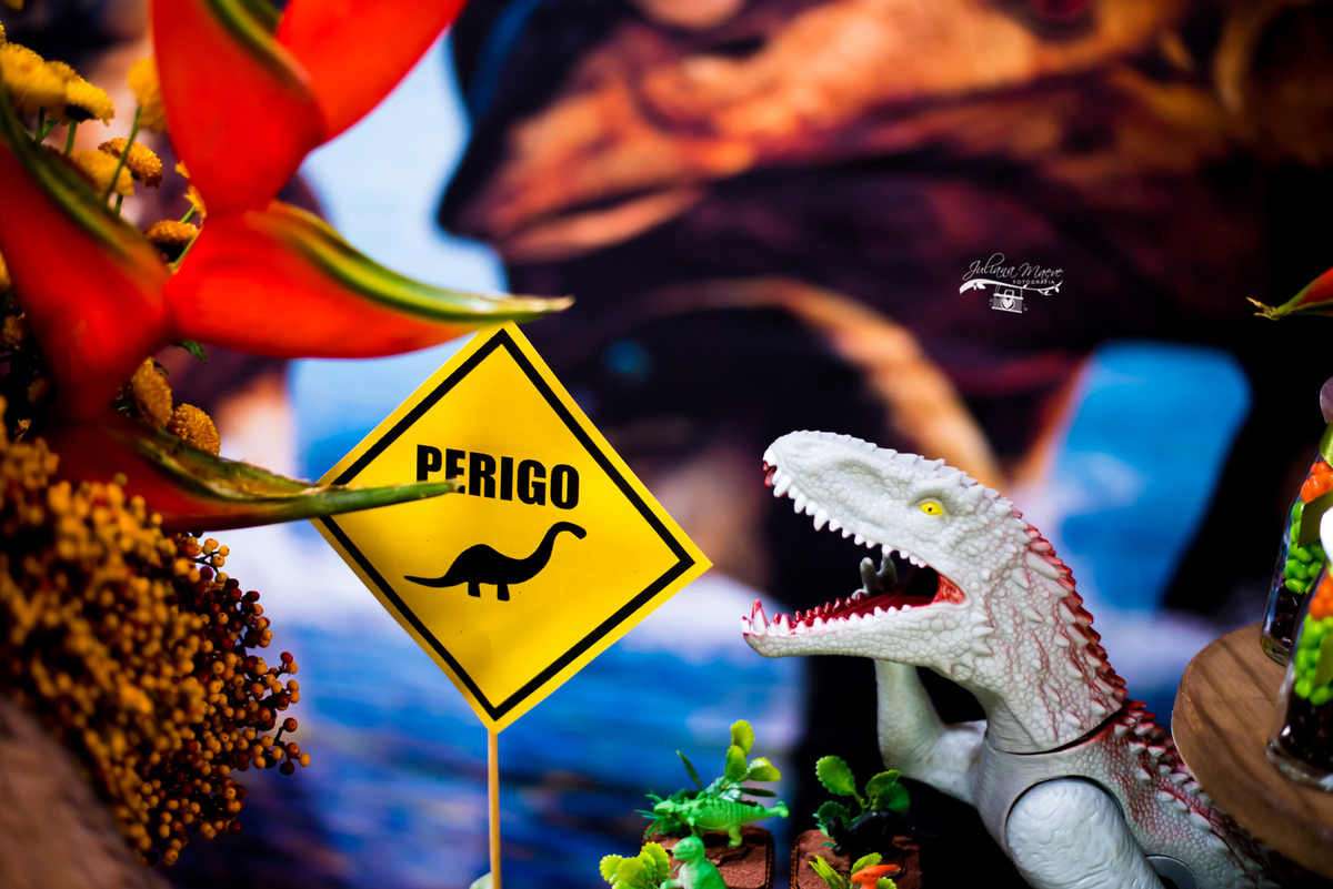 Aniversario ouro preto, Juliana Maeve, Juliana maeve Fotografia, Aniversario Infantil Ouro Preto, Fotografa de Aniversario em ouro preto, Fotografa Infantil Ouro Preto,Aniversario Santo Antonio do Leite, Aniversario Jurassic Park, Aniversario Dinossauros