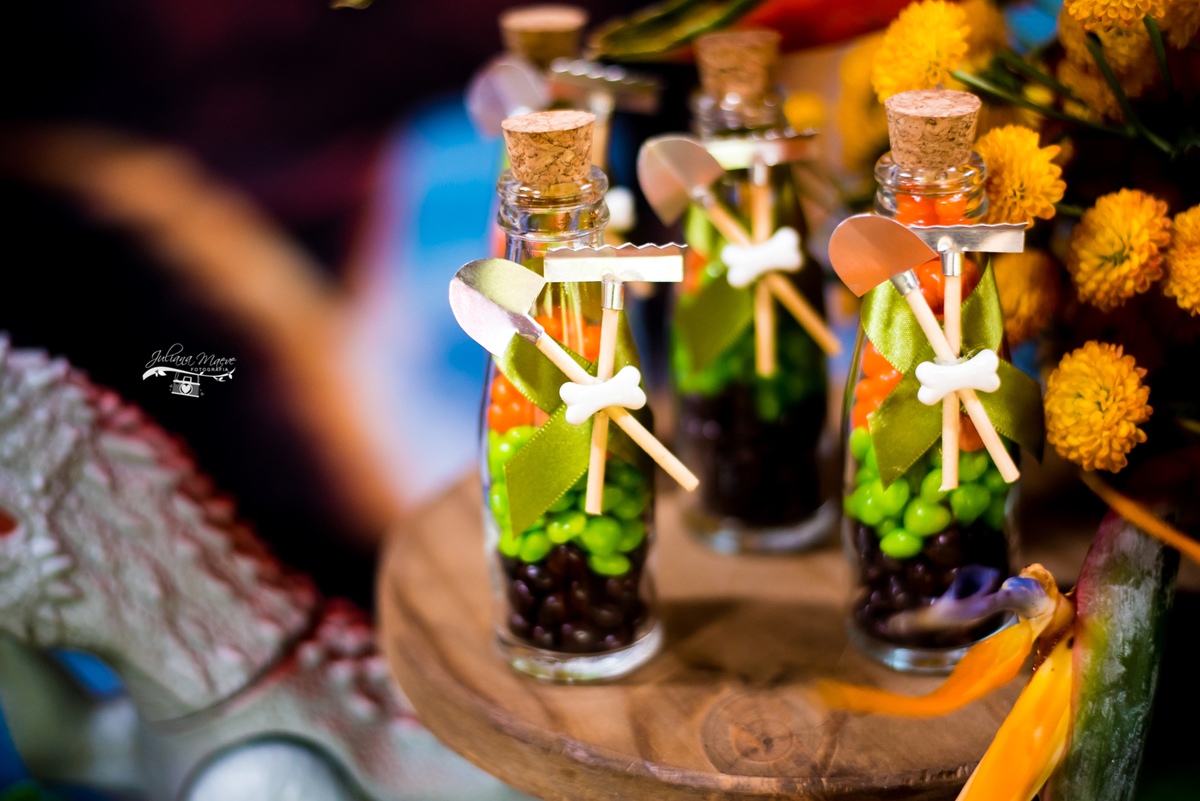 Aniversario ouro preto, Juliana Maeve, Juliana maeve Fotografia, Aniversario Infantil Ouro Preto, Fotografa de Aniversario em ouro preto, Fotografa Infantil Ouro Preto,Aniversario Santo Antonio do Leite, Aniversario Jurassic Park, Aniversario Dinossauros