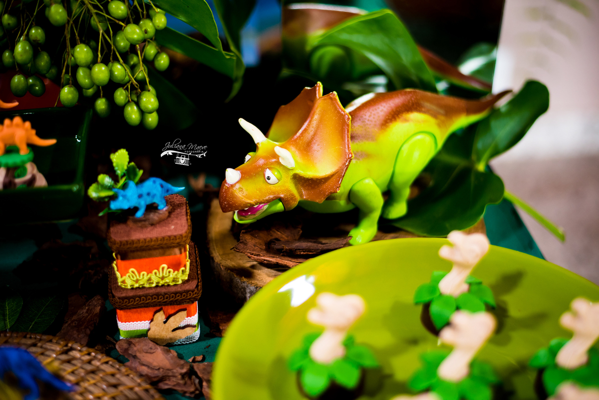 Aniversario ouro preto, Juliana Maeve, Juliana maeve Fotografia, Aniversario Infantil Ouro Preto, Fotografa de Aniversario em ouro preto, Fotografa Infantil Ouro Preto,Aniversario Santo Antonio do Leite, Aniversario Jurassic Park, Aniversario Dinossauros