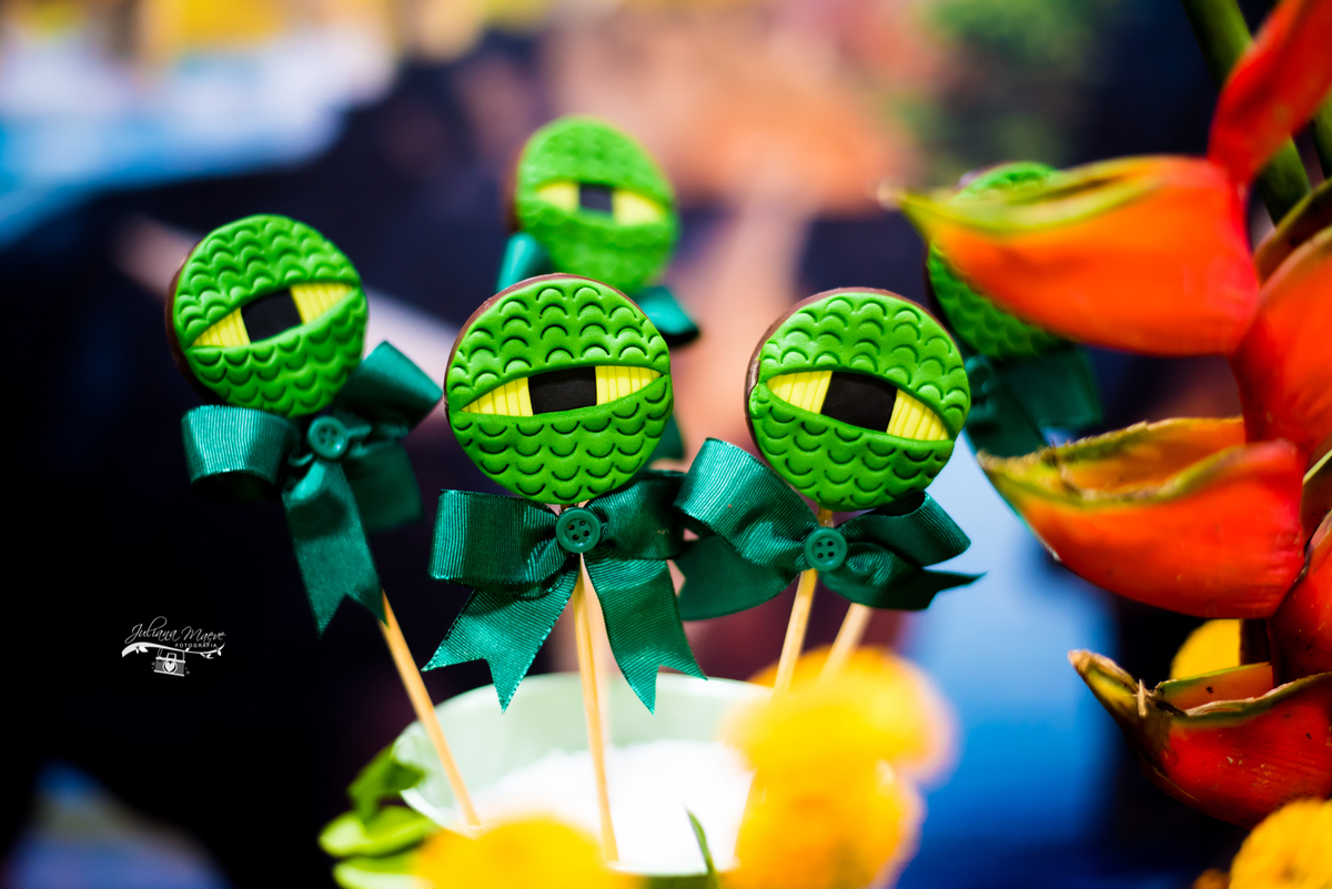 Aniversario ouro preto, Juliana Maeve, Juliana maeve Fotografia, Aniversario Infantil Ouro Preto, Fotografa de Aniversario em ouro preto, Fotografa Infantil Ouro Preto,Aniversario Santo Antonio do Leite, Aniversario Jurassic Park, Aniversario Dinossauros