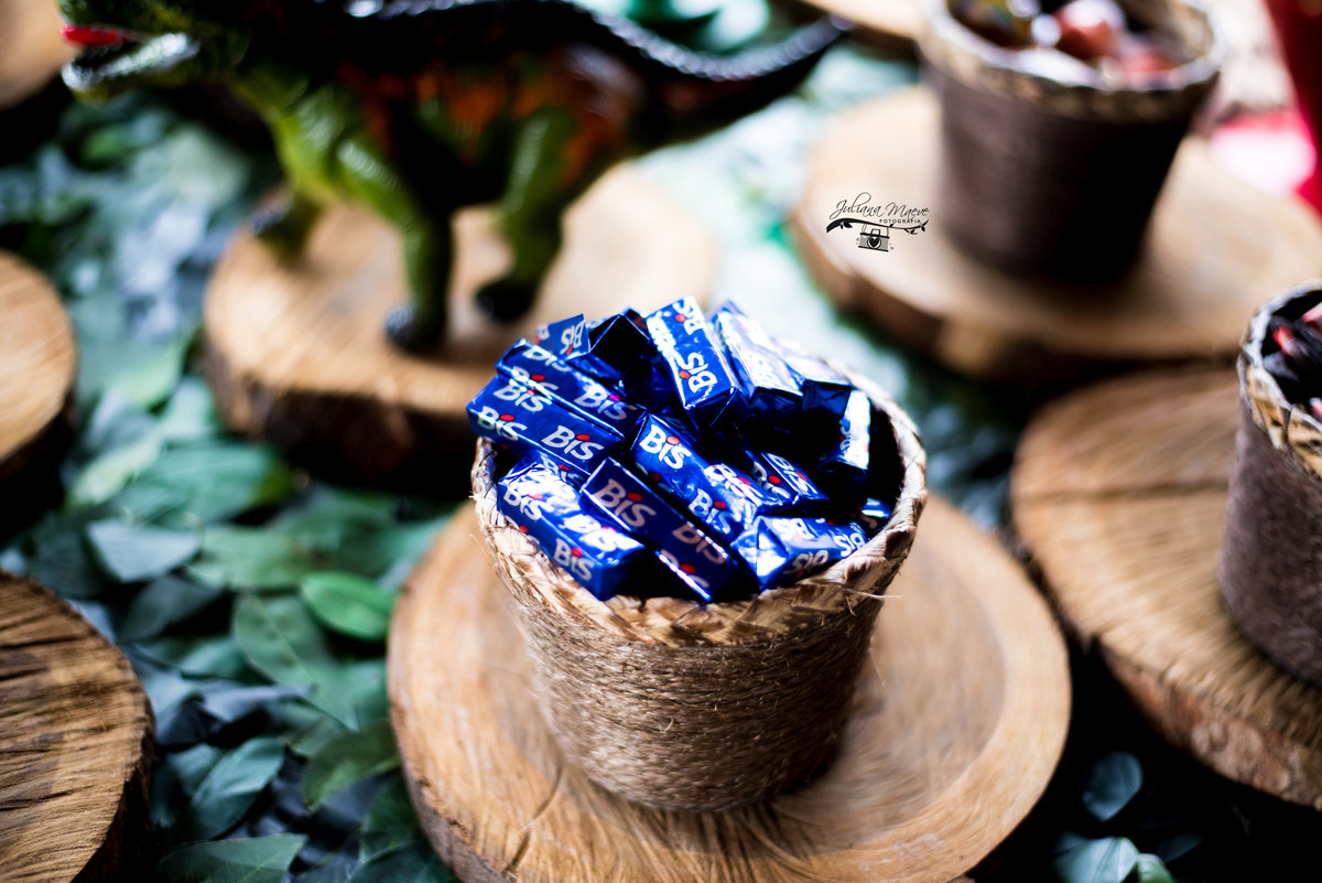 Aniversario ouro preto, Juliana Maeve, Juliana maeve Fotografia, Aniversario Infantil Ouro Preto, Fotografa de Aniversario em ouro preto, Fotografa Infantil Ouro Preto,Aniversario Santo Antonio do Leite, Aniversario Jurassic Park, Aniversario Dinossauros