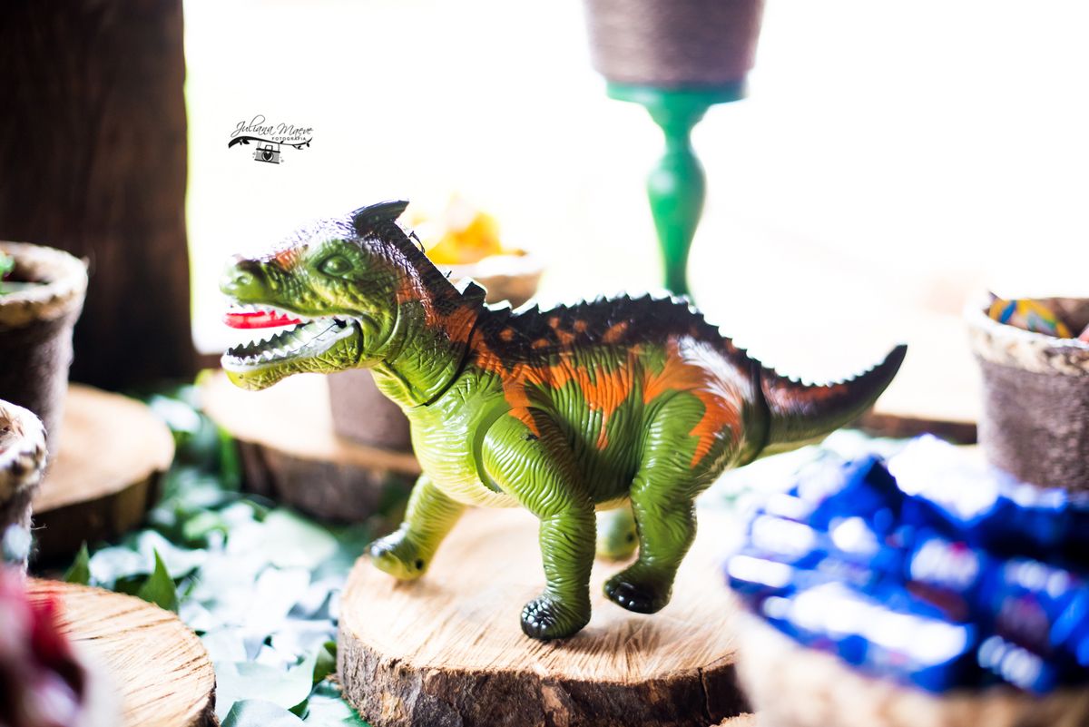 Aniversario ouro preto, Juliana Maeve, Juliana maeve Fotografia, Aniversario Infantil Ouro Preto, Fotografa de Aniversario em ouro preto, Fotografa Infantil Ouro Preto,Aniversario Santo Antonio do Leite, Aniversario Jurassic Park, Aniversario Dinossauros