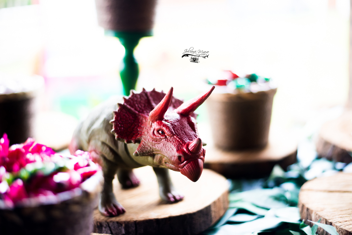 Aniversario ouro preto, Juliana Maeve, Juliana maeve Fotografia, Aniversario Infantil Ouro Preto, Fotografa de Aniversario em ouro preto, Fotografa Infantil Ouro Preto,Aniversario Santo Antonio do Leite, Aniversario Jurassic Park, Aniversario Dinossauros