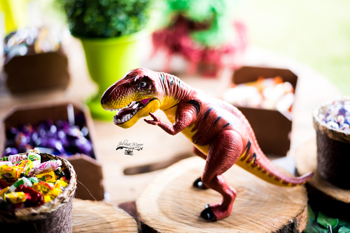 Aniversario ouro preto, Juliana Maeve, Juliana maeve Fotografia, Aniversario Infantil Ouro Preto, Fotografa de Aniversario em ouro preto, Fotografa Infantil Ouro Preto,Aniversario Santo Antonio do Leite, Aniversario Jurassic Park, Aniversario Dinossauros