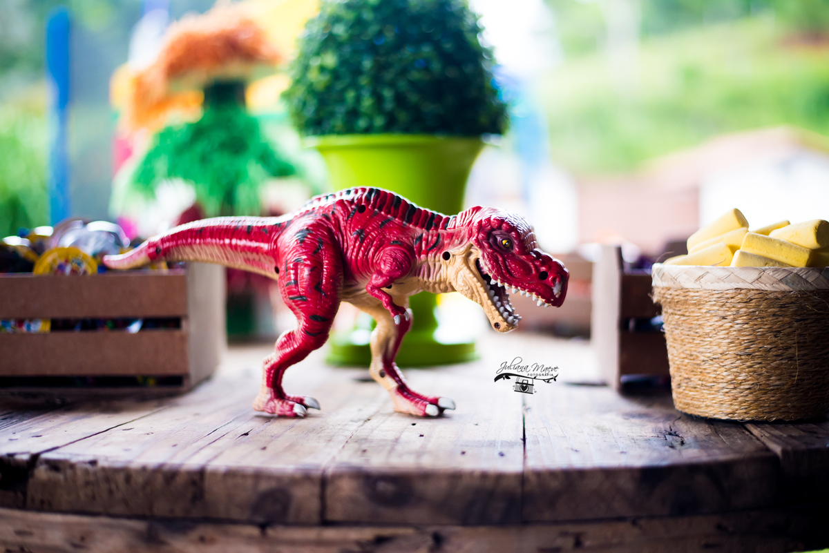 Aniversario ouro preto, Juliana Maeve, Juliana maeve Fotografia, Aniversario Infantil Ouro Preto, Fotografa de Aniversario em ouro preto, Fotografa Infantil Ouro Preto,Aniversario Santo Antonio do Leite, Aniversario Jurassic Park, Aniversario Dinossauros