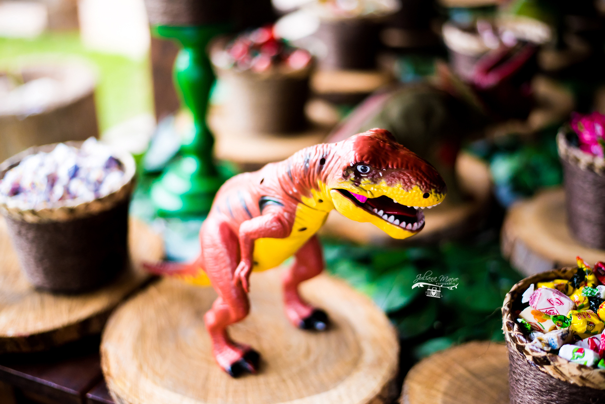 Aniversario ouro preto, Juliana Maeve, Juliana maeve Fotografia, Aniversario Infantil Ouro Preto, Fotografa de Aniversario em ouro preto, Fotografa Infantil Ouro Preto,Aniversario Santo Antonio do Leite, Aniversario Jurassic Park, Aniversario Dinossauros