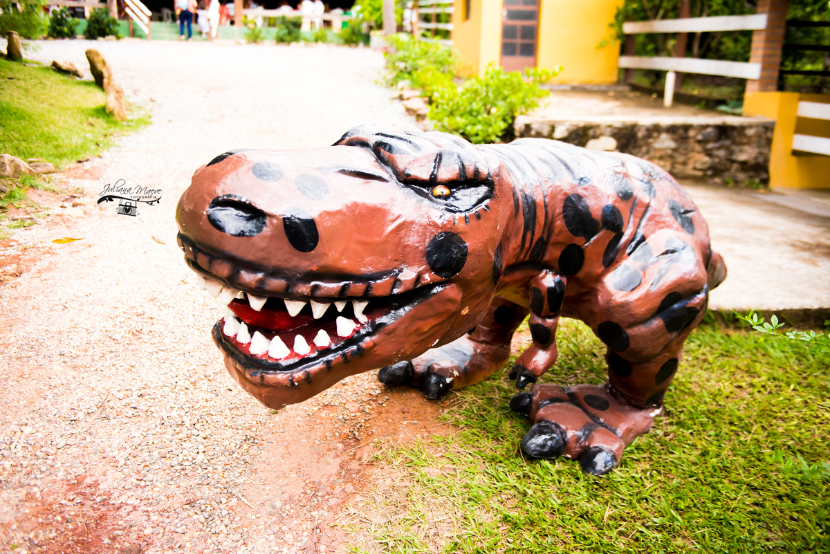 Aniversario ouro preto, Juliana Maeve, Juliana maeve Fotografia, Aniversario Infantil Ouro Preto, Fotografa de Aniversario em ouro preto, Fotografa Infantil Ouro Preto,Aniversario Santo Antonio do Leite, Aniversario Jurassic Park, Aniversario Dinossauros