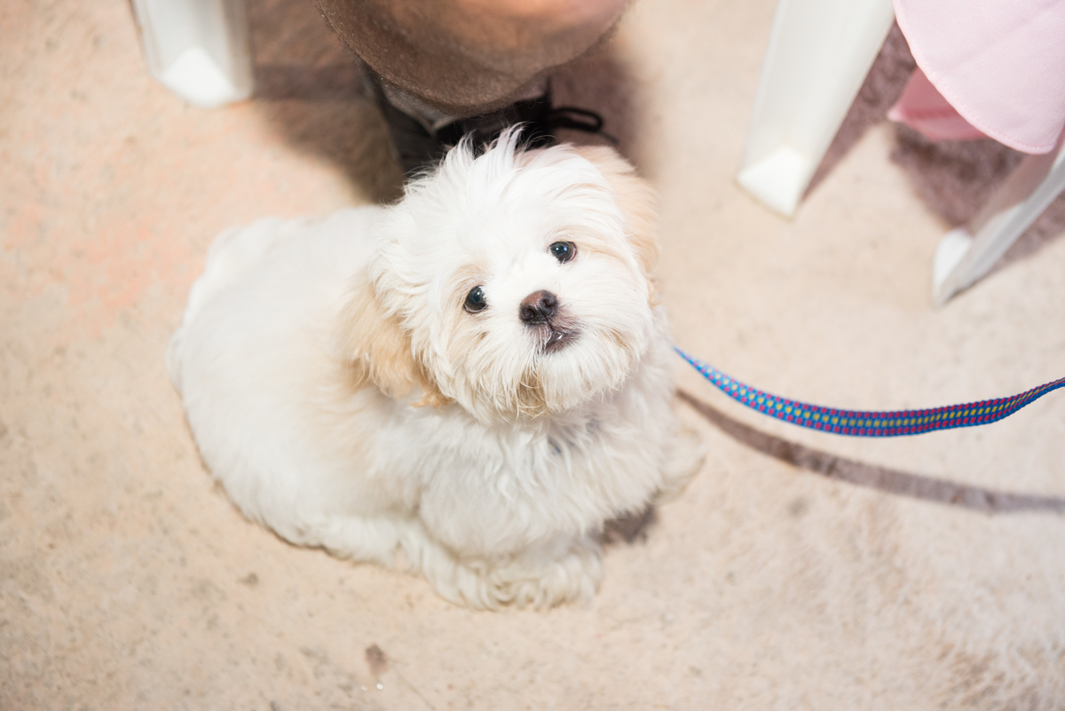 Aniversario ouro preto, Juliana Maeve, Juliana maeve Fotografia, Aniversario Infantil Ouro Preto, Fotografa de Aniversario em ouro preto, Fotografa Infantil Ouro Preto