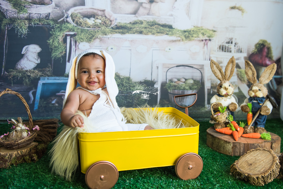 Acompanhamento Infantil em Ouro Preto, Fotografa de bebes em Ouro Preto, Fotografa Infantil em Ouro Preto, estudio fotografico em Ouro Preto, fotografa Newborn em Ouro preto, Newborn Ouro Preto, Newborn em Mariana, Fotografo de bebes em Mariana,