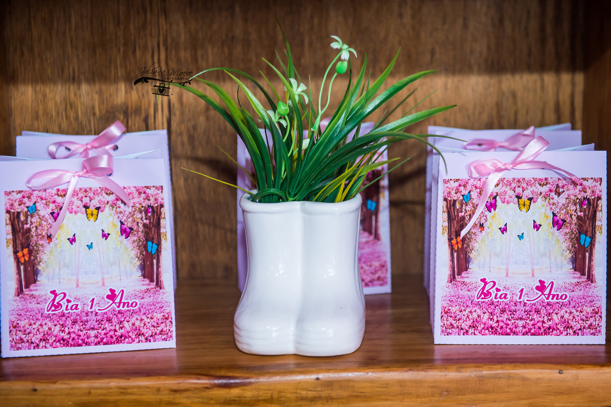 Aniversario  Infantil ouro preto, Juliana Maeve, Juliana maeve Fotografia, Fotografa de Aniversario em ouro preto, Fotografa Infantil Ouro Preto, Fotografa de bebes em Ouro Preto, Aniversario de criança em ouro Preto, fotografa de familia em ouro preto