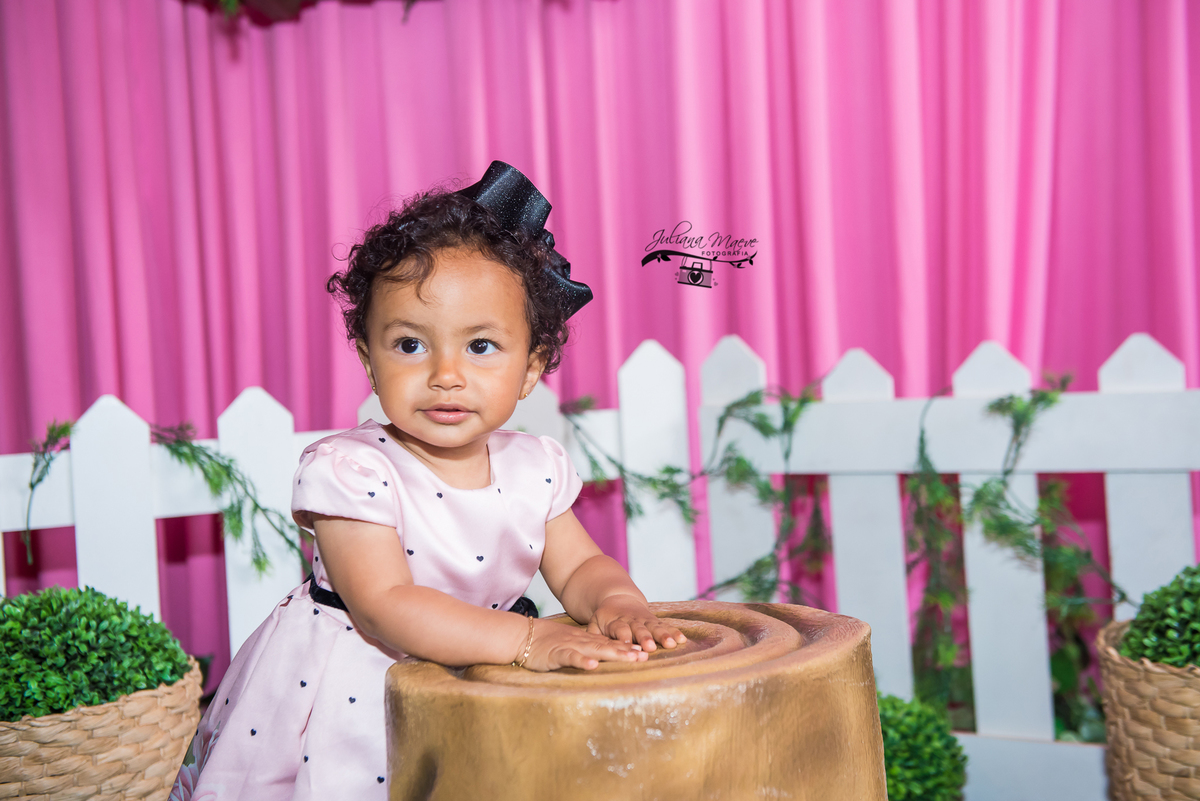 Aniversario  Infantil ouro preto, Juliana Maeve, Juliana maeve Fotografia, Fotografa de Aniversario em ouro preto, Fotografa Infantil Ouro Preto, Fotografa de bebes em Ouro Preto, Aniversario de criança em ouro Preto, fotografa de familia em ouro preto