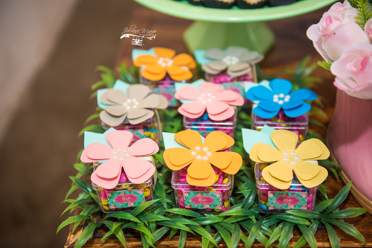 Aniversario  Infantil ouro preto, Juliana Maeve, Juliana maeve Fotografia, Fotografa de Aniversario em ouro preto, Fotografa Infantil Ouro Preto, Fotografa de bebes em Ouro Preto, Aniversario de criança em ouro Preto, fotografa de familia em ouro preto