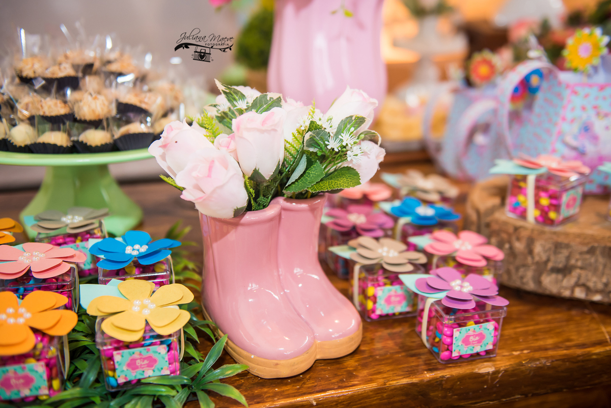 Aniversario  Infantil ouro preto, Juliana Maeve, Juliana maeve Fotografia, Fotografa de Aniversario em ouro preto, Fotografa Infantil Ouro Preto, Fotografa de bebes em Ouro Preto, Aniversario de criança em ouro Preto, fotografa de familia em ouro preto