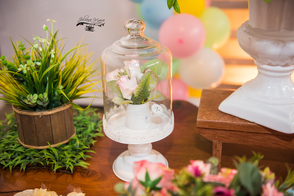 Aniversario  Infantil ouro preto, Juliana Maeve, Juliana maeve Fotografia, Fotografa de Aniversario em ouro preto, Fotografa Infantil Ouro Preto, Fotografa de bebes em Ouro Preto, Aniversario de criança em ouro Preto, fotografa de familia em ouro preto