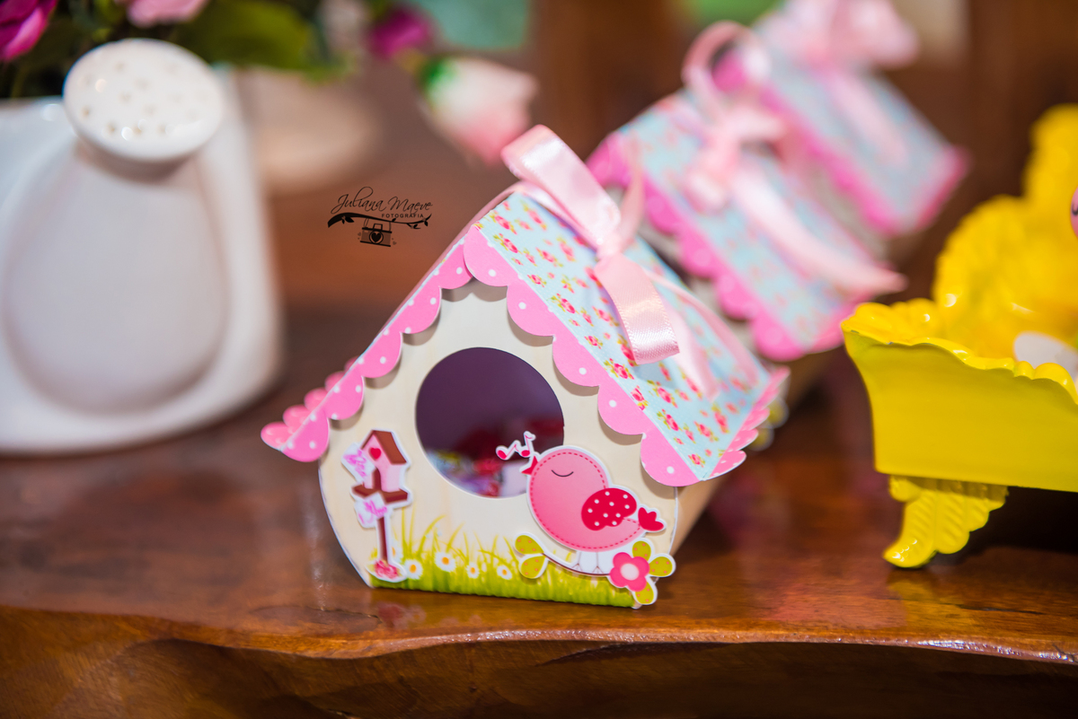 Aniversario  Infantil ouro preto, Juliana Maeve, Juliana maeve Fotografia, Fotografa de Aniversario em ouro preto, Fotografa Infantil Ouro Preto, Fotografa de bebes em Ouro Preto, Aniversario de criança em ouro Preto, fotografa de familia em ouro preto