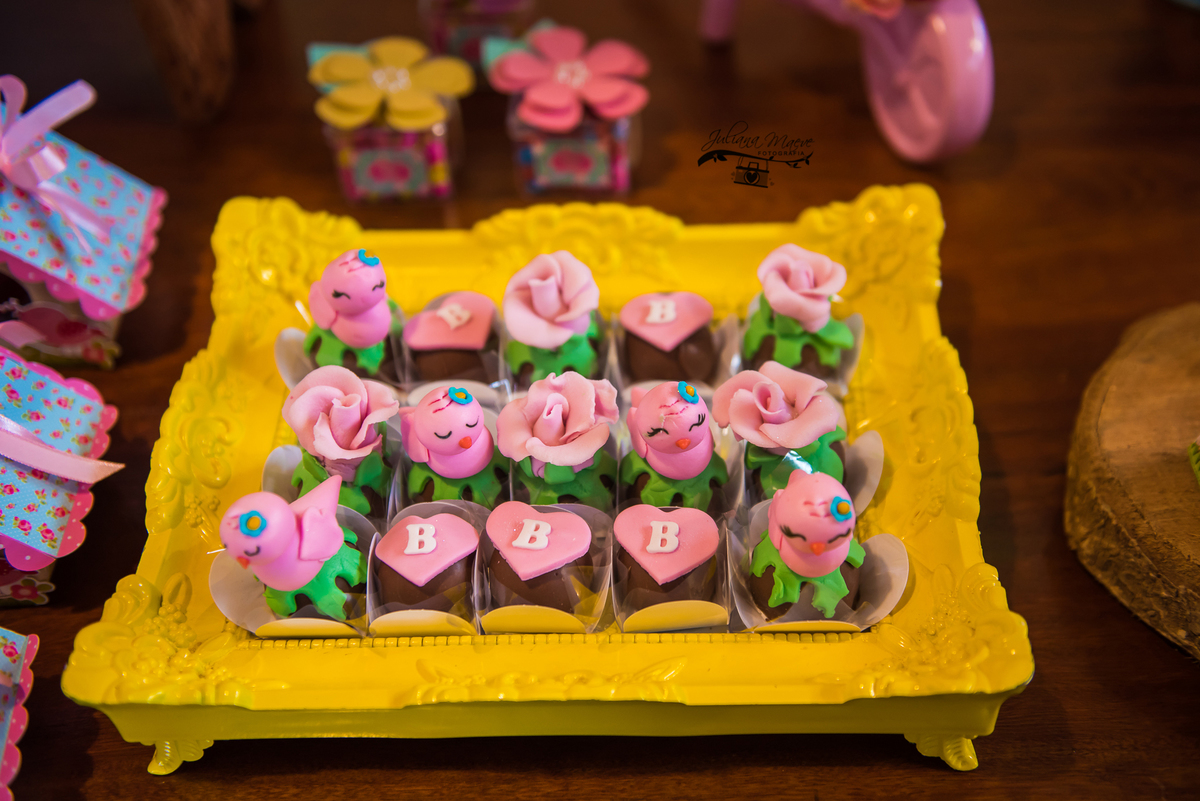 Aniversario  Infantil ouro preto, Juliana Maeve, Juliana maeve Fotografia, Fotografa de Aniversario em ouro preto, Fotografa Infantil Ouro Preto, Fotografa de bebes em Ouro Preto, Aniversario de criança em ouro Preto, fotografa de familia em ouro preto