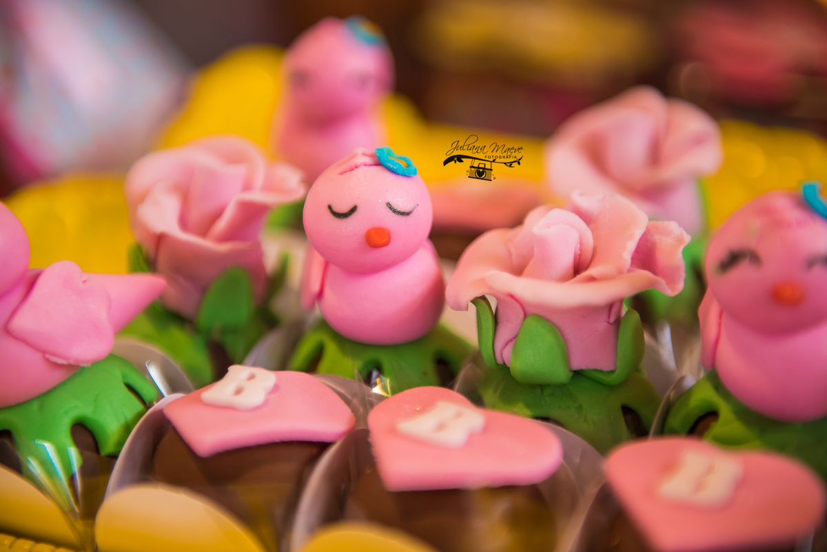 Aniversario  Infantil ouro preto, Juliana Maeve, Juliana maeve Fotografia, Fotografa de Aniversario em ouro preto, Fotografa Infantil Ouro Preto, Fotografa de bebes em Ouro Preto, Aniversario de criança em ouro Preto, fotografa de familia em ouro preto