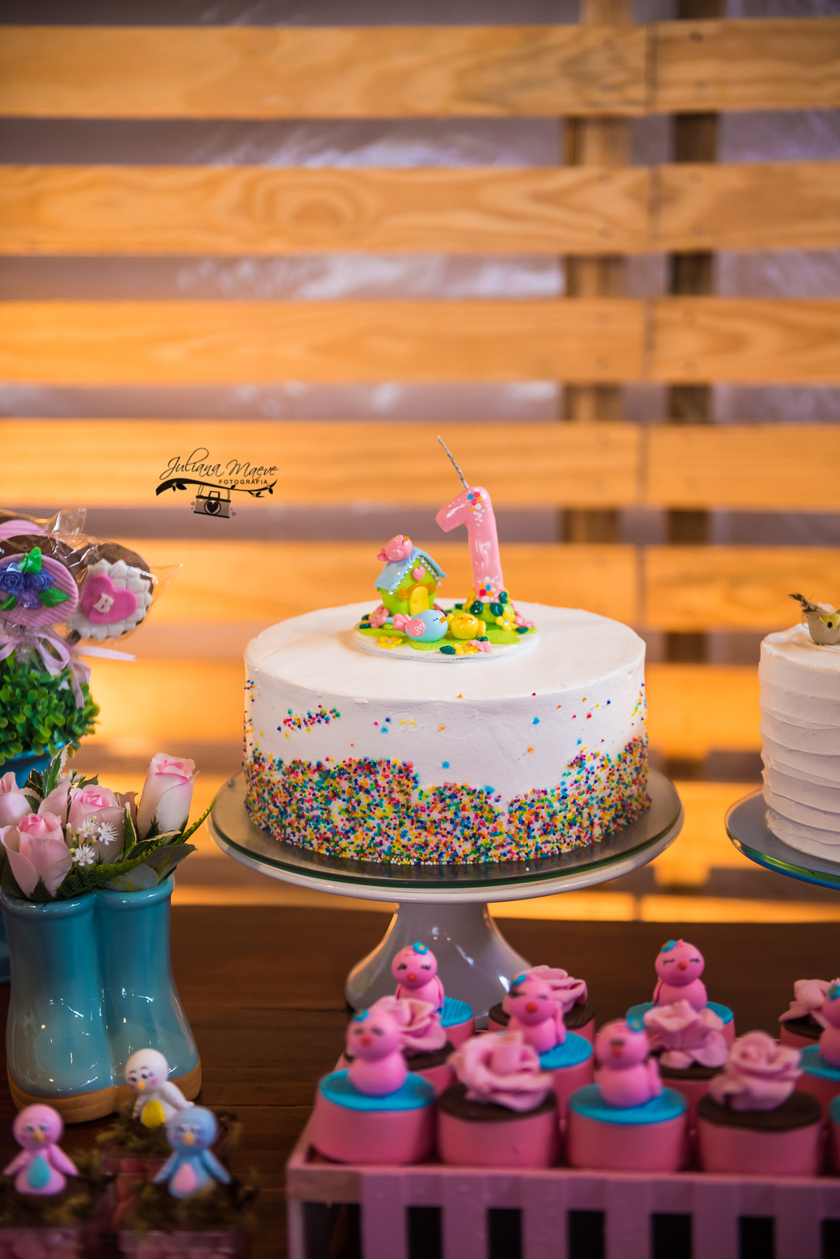 Aniversario  Infantil ouro preto, Juliana Maeve, Juliana maeve Fotografia, Fotografa de Aniversario em ouro preto, Fotografa Infantil Ouro Preto, Fotografa de bebes em Ouro Preto, Aniversario de criança em ouro Preto, fotografa de familia em ouro preto