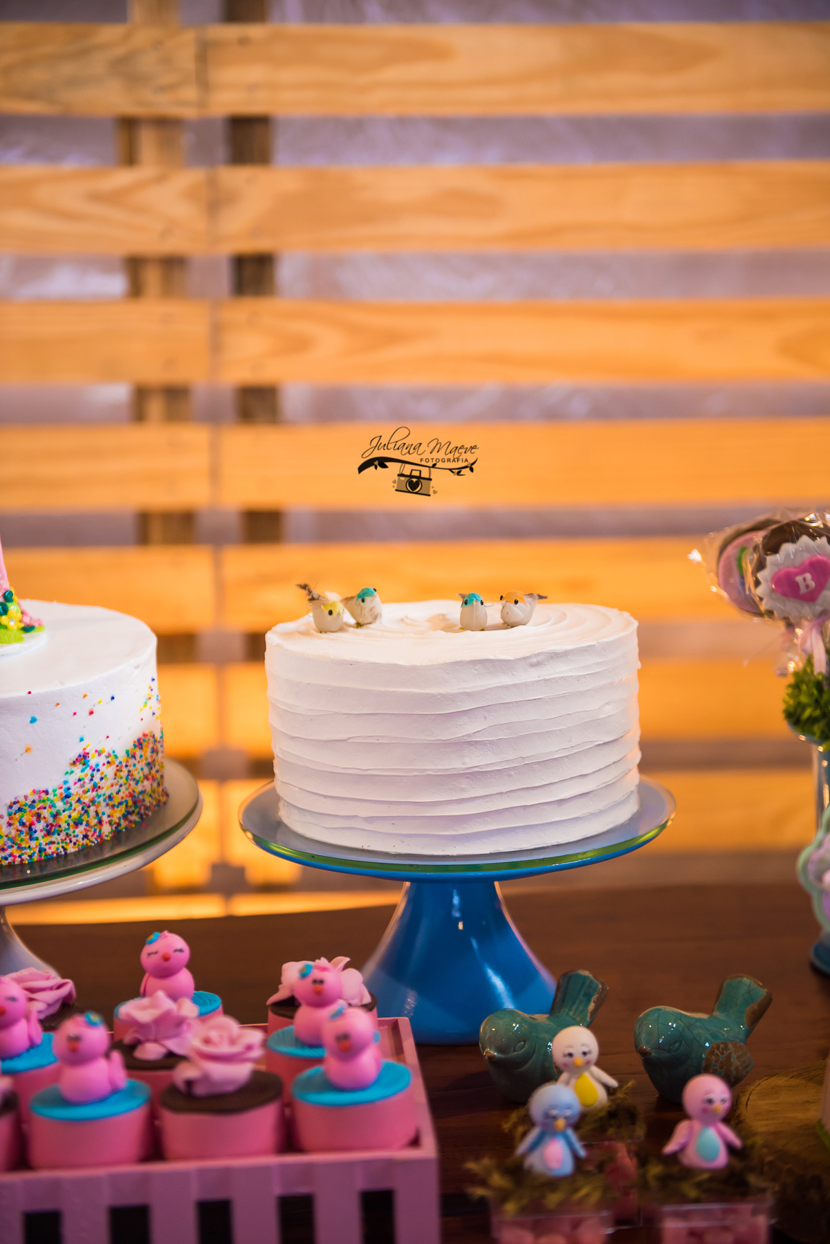 Aniversario  Infantil ouro preto, Juliana Maeve, Juliana maeve Fotografia, Fotografa de Aniversario em ouro preto, Fotografa Infantil Ouro Preto, Fotografa de bebes em Ouro Preto, Aniversario de criança em ouro Preto, fotografa de familia em ouro preto