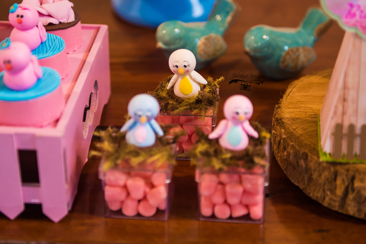 Aniversario  Infantil ouro preto, Juliana Maeve, Juliana maeve Fotografia, Fotografa de Aniversario em ouro preto, Fotografa Infantil Ouro Preto, Fotografa de bebes em Ouro Preto, Aniversario de criança em ouro Preto, fotografa de familia em ouro preto