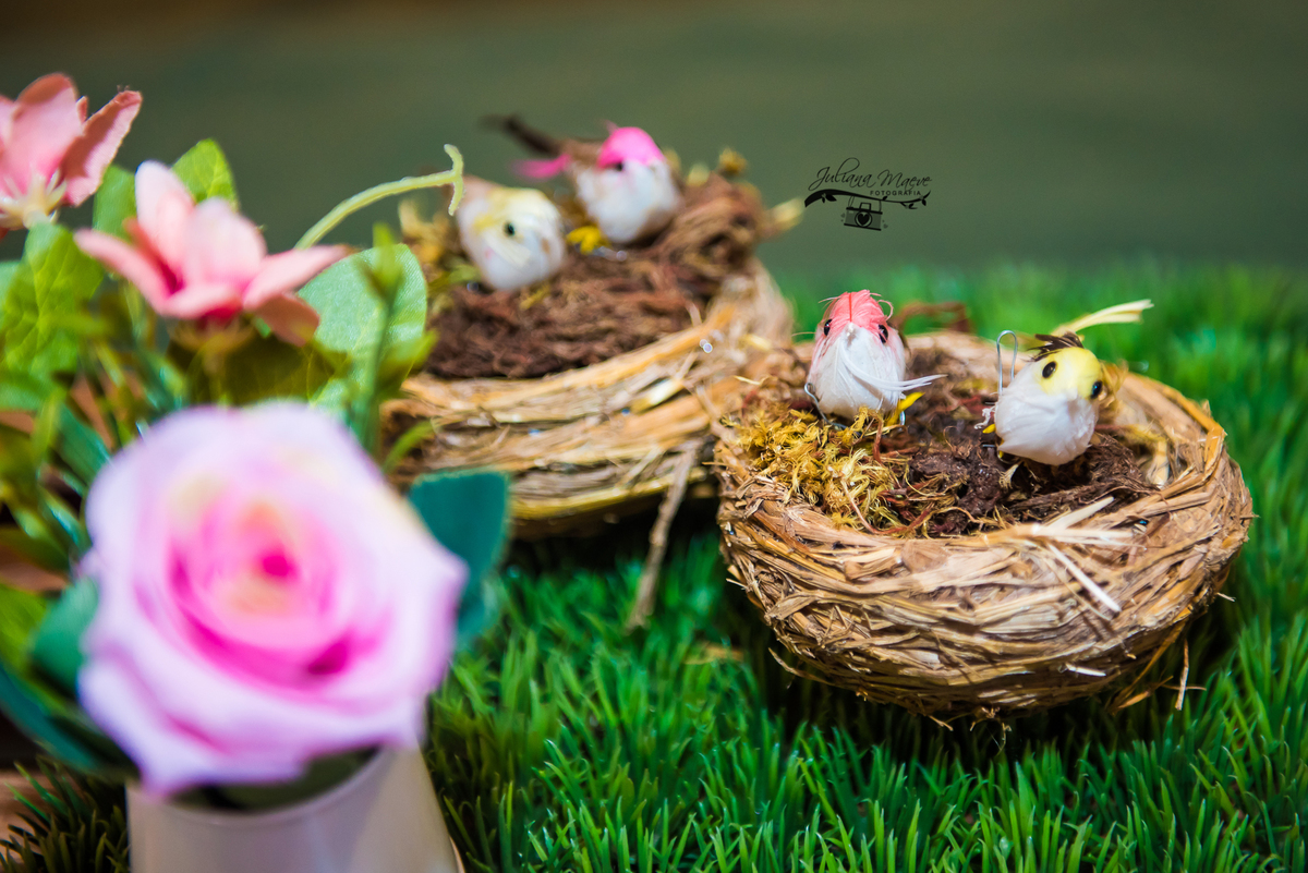 Aniversario  Infantil ouro preto, Juliana Maeve, Juliana maeve Fotografia, Fotografa de Aniversario em ouro preto, Fotografa Infantil Ouro Preto, Fotografa de bebes em Ouro Preto, Aniversario de criança em ouro Preto, fotografa de familia em ouro preto