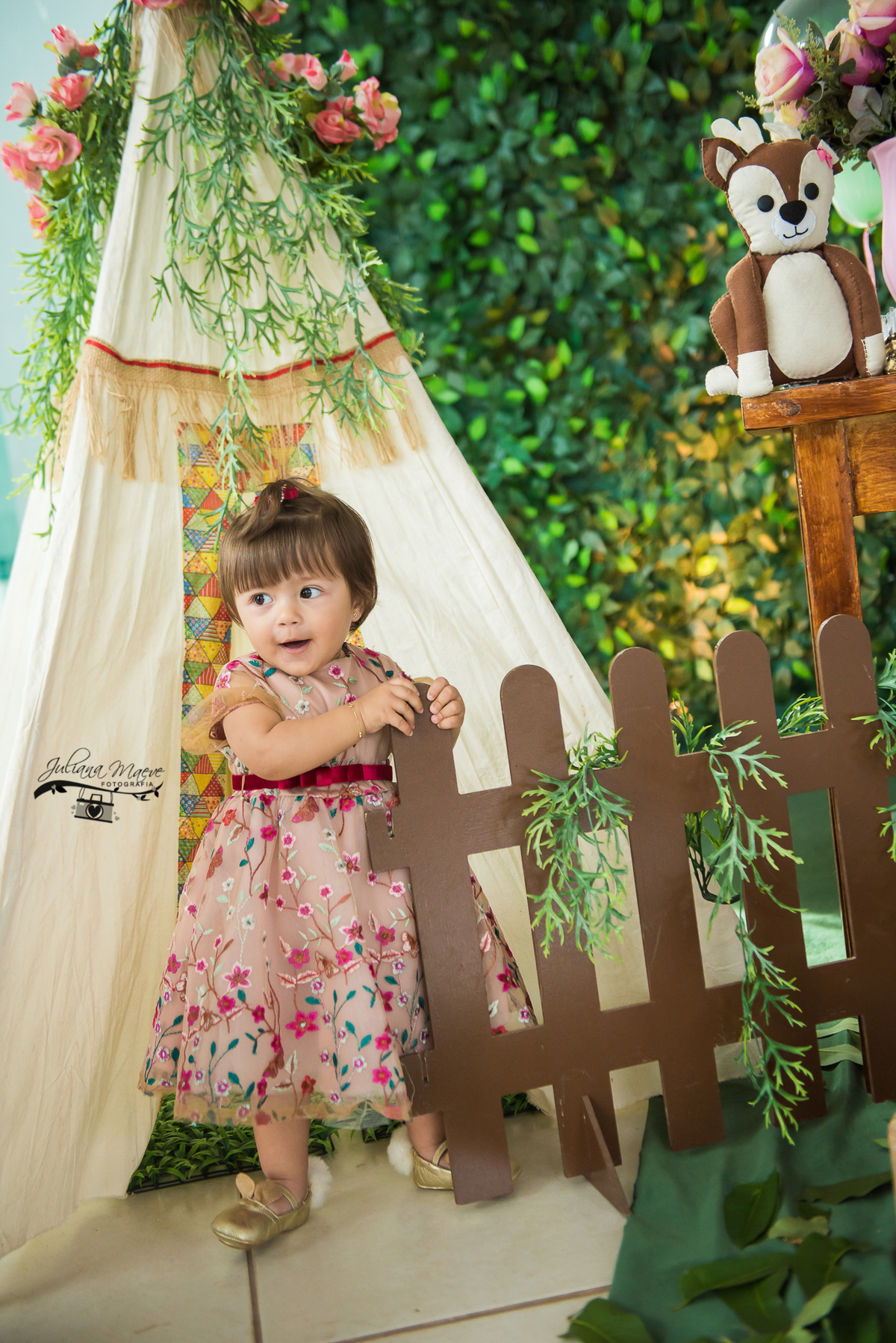 Aniversario  Infantil ouro preto, Juliana Maeve, Juliana maeve Fotografia, Fotografa de Aniversario em ouro preto,  Fotografia Aniversario Itabirito, Decorações Favo de Mel, Aniversario Infantil Itabirito