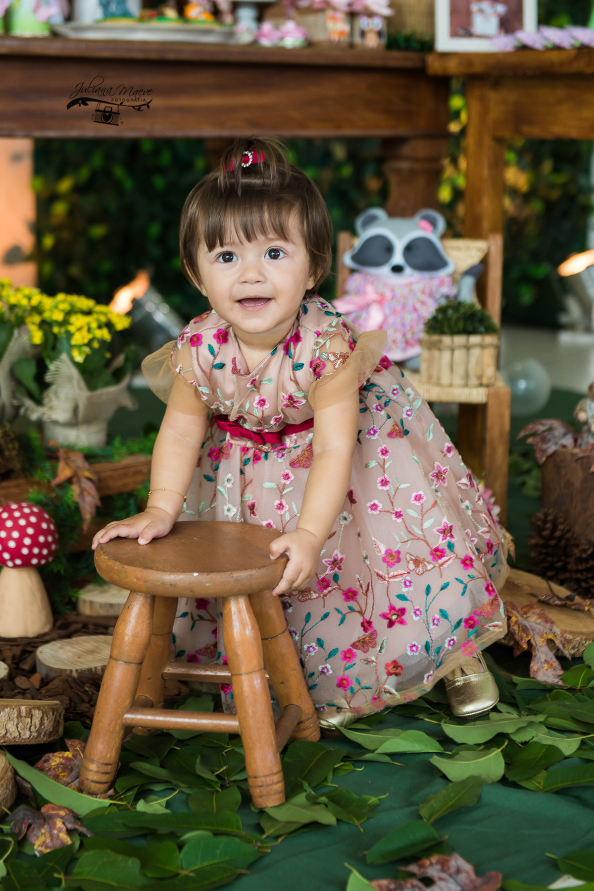 Aniversario  Infantil ouro preto, Juliana Maeve, Juliana maeve Fotografia, Fotografa de Aniversario em ouro preto,  Fotografia Aniversario Itabirito, Decorações Favo de Mel, Aniversario Infantil Itabirito