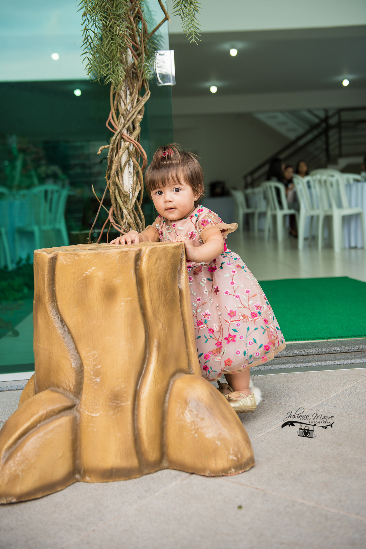 vAniversario  Infantil ouro preto, Juliana Maeve, Juliana maeve Fotografia, Fotografa de Aniversario em ouro preto,  Fotografia Aniversario Itabirito, Decorações Favo de Mel, Aniversario Infantil Itabirito