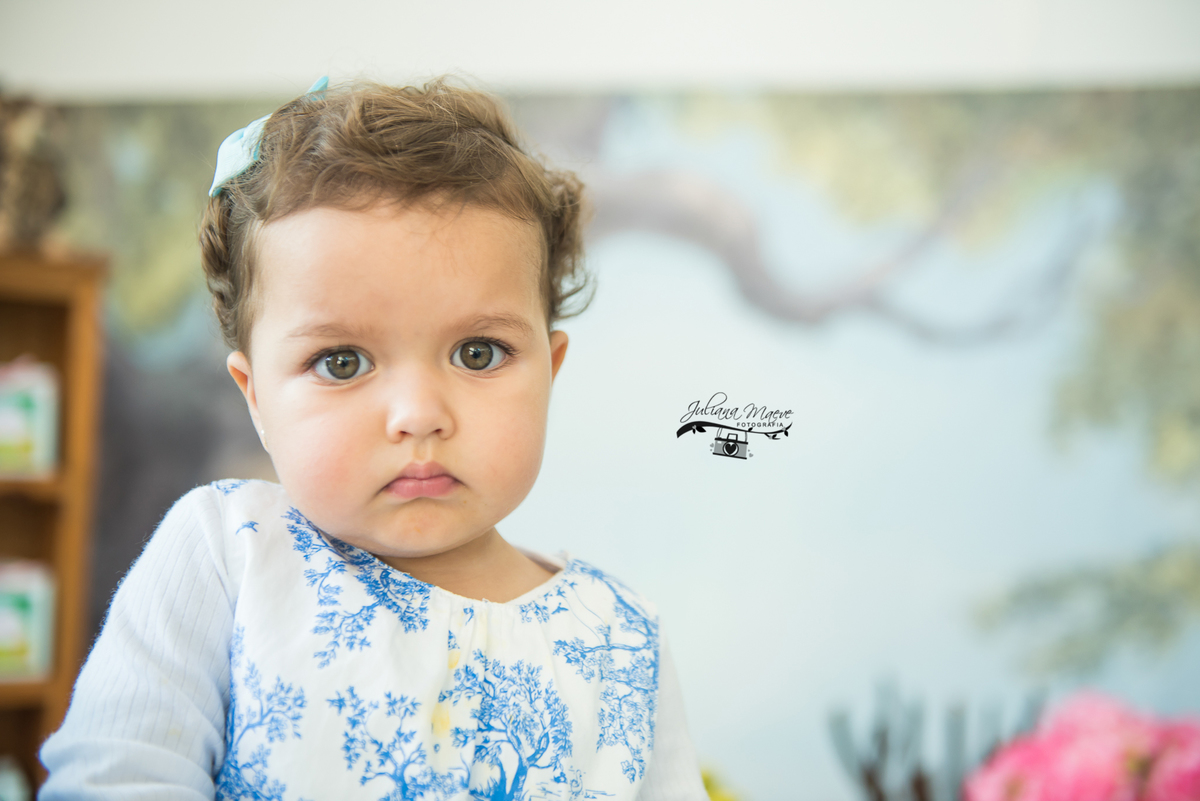 Aniversario  Infantil ouro preto, Juliana Maeve, Juliana maeve Fotografia, Fotografa de Aniversario em ouro preto,  Fotografia Aniversario Itabirito, Decorações Favo de Mel, Aniversario Infantil Itabirito