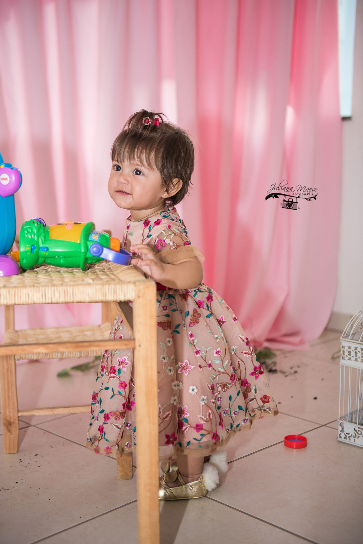 Aniversario  Infantil ouro preto, Juliana Maeve, Juliana maeve Fotografia, Fotografa de Aniversario em ouro preto,  Fotografia Aniversario Itabirito, Decorações Favo de Mel, Aniversario Infantil Itabirito