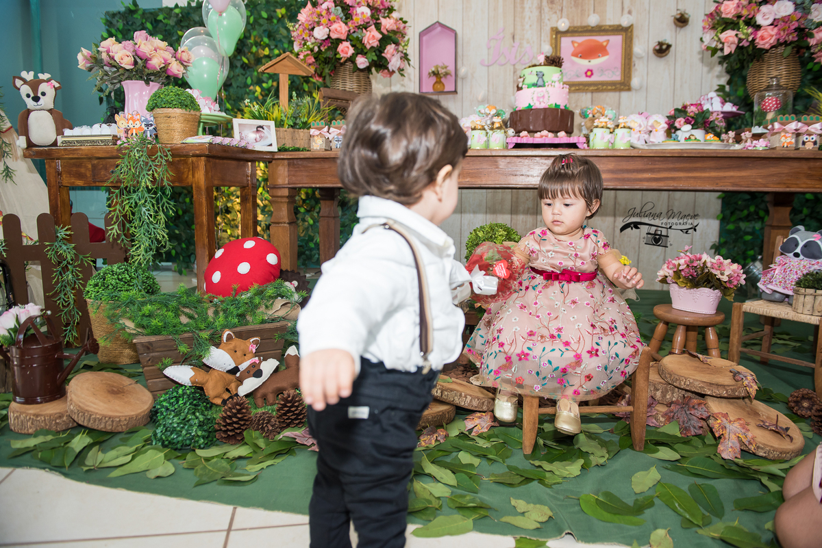 Aniversario  Infantil ouro preto, Juliana Maeve, Juliana maeve Fotografia, Fotografa de Aniversario em ouro preto,  Fotografia Aniversario Itabirito, Decorações Favo de Mel, Aniversario Infantil Itabirito