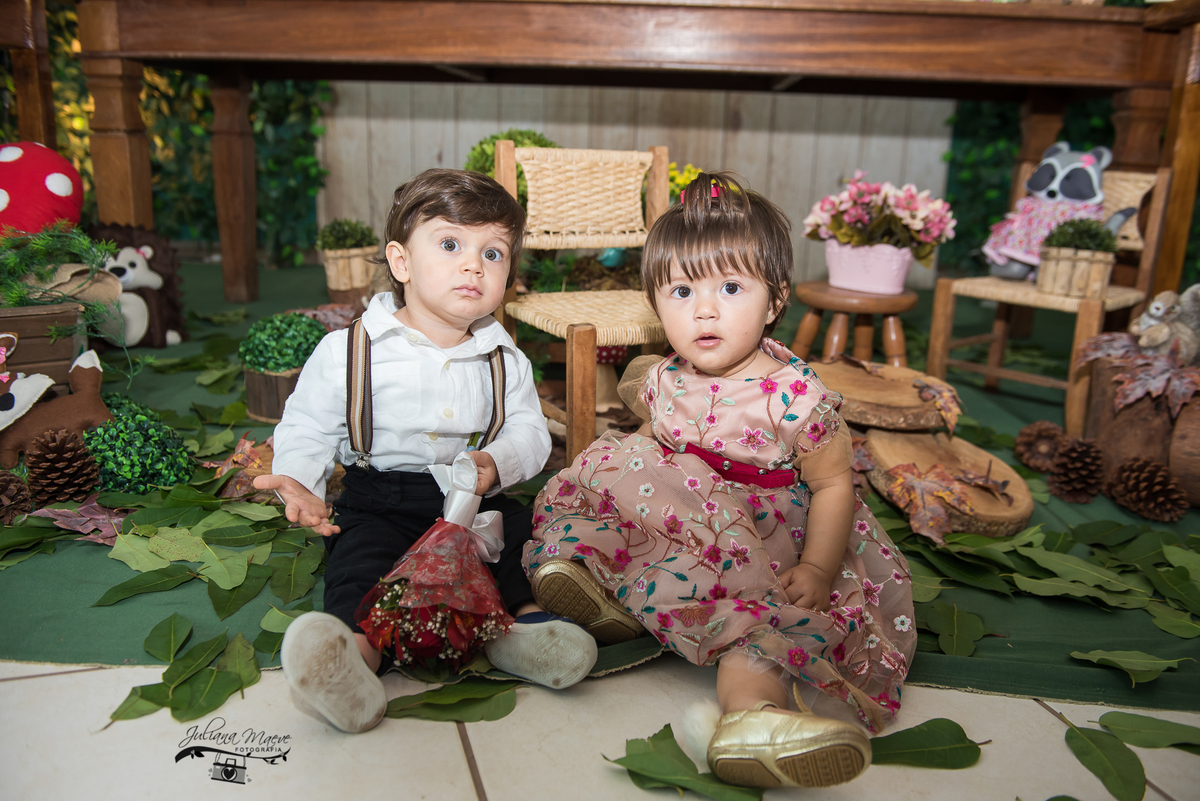 Aniversario  Infantil ouro preto, Juliana Maeve, Juliana maeve Fotografia, Fotografa de Aniversario em ouro preto,  Fotografia Aniversario Itabirito, Decorações Favo de Mel, Aniversario Infantil Itabirito