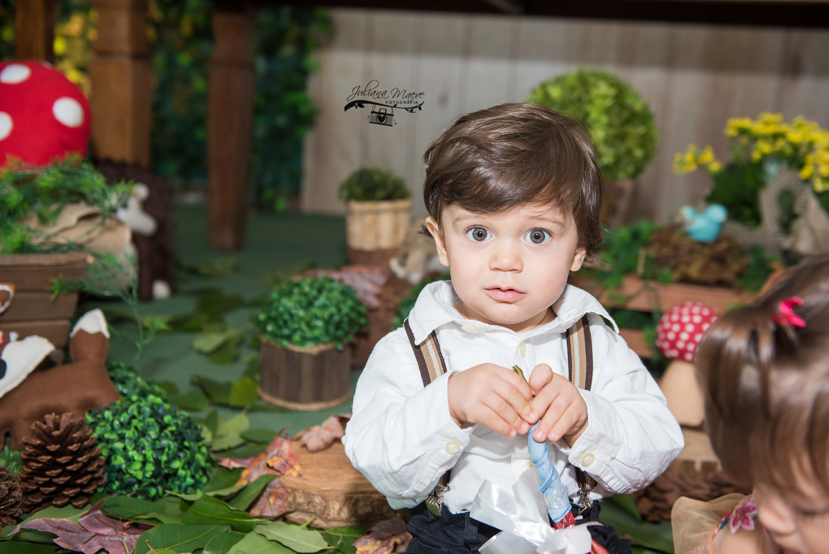 Aniversario  Infantil ouro preto, Juliana Maeve, Juliana maeve Fotografia, Fotografa de Aniversario em ouro preto,  Fotografia Aniversario Itabirito, Decorações Favo de Mel, Aniversario Infantil Itabirito