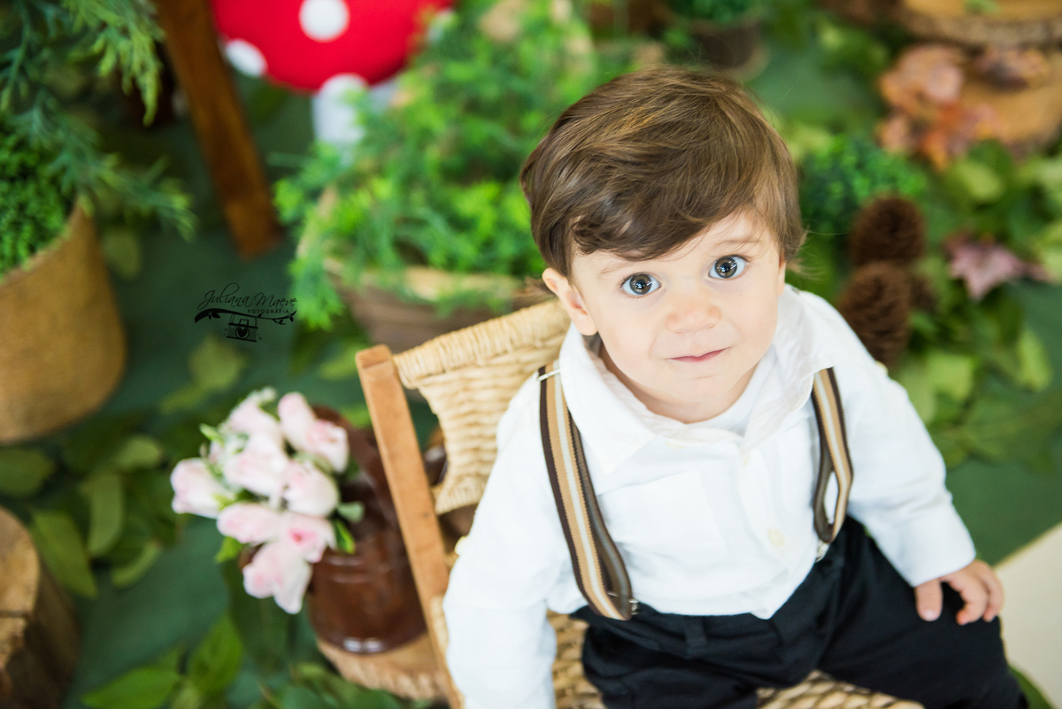 Aniversario  Infantil ouro preto, Juliana Maeve, Juliana maeve Fotografia, Fotografa de Aniversario em ouro preto,  Fotografia Aniversario Itabirito, Decorações Favo de Mel, Aniversario Infantil Itabirito