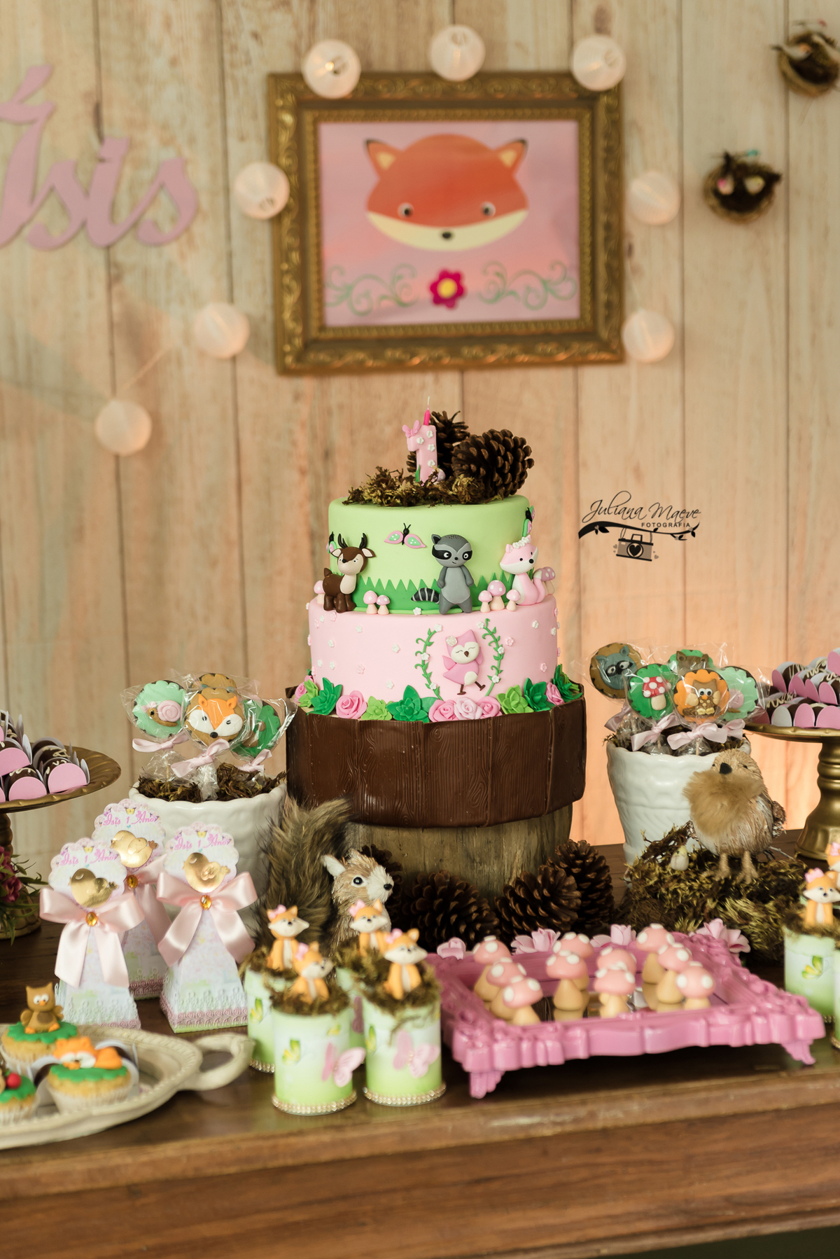 Aniversario  Infantil ouro preto, Juliana Maeve, Juliana maeve Fotografia, Fotografa de Aniversario em ouro preto,  Fotografia Aniversario Itabirito, Decorações Favo de Mel, Aniversario Infantil Itabirito