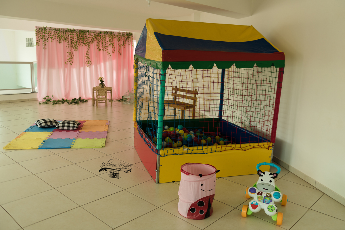 Aniversario  Infantil ouro preto, Juliana Maeve, Juliana maeve Fotografia, Fotografa de Aniversario em ouro preto,  Fotografia Aniversario Itabirito, Decorações Favo de Mel, Aniversario Infantil Itabirito